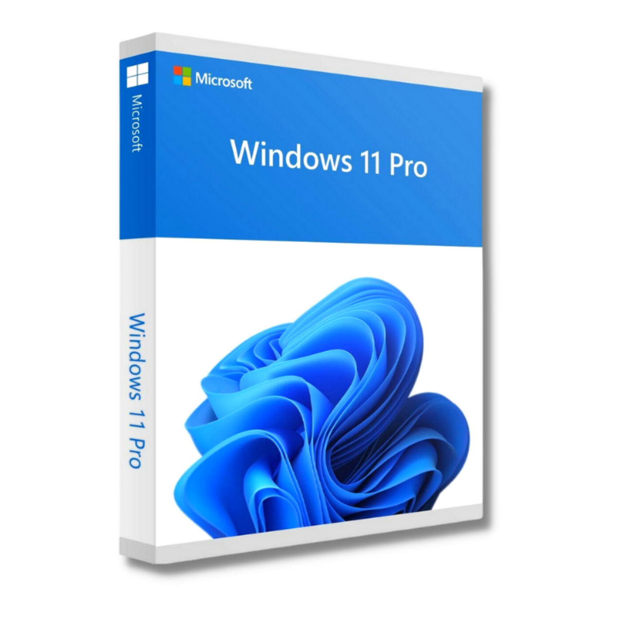 Windows 11 Pro Retail / Oem